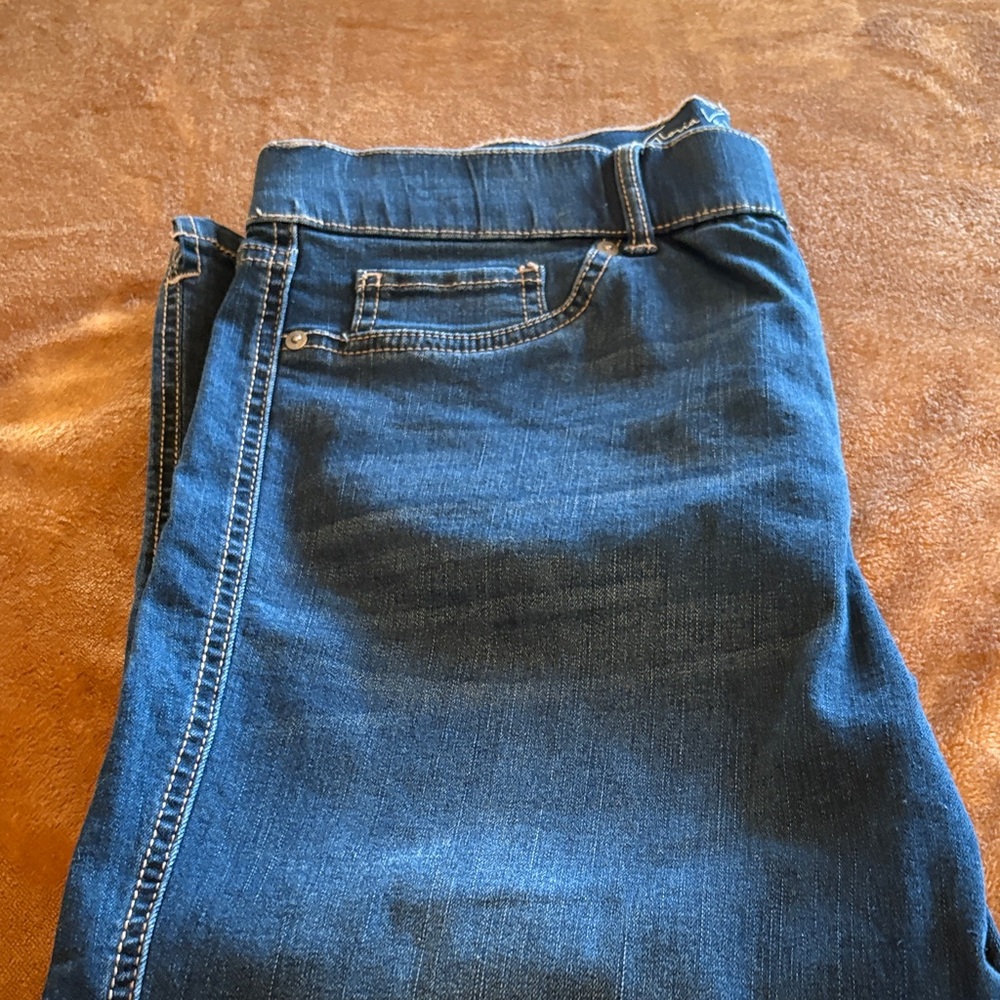 Gloria Vanderbilt Blue Capris
